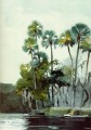 Rivière Homosassa réalisme peintre Winslow Homer